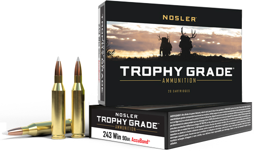 Nosler - Trophy Grade - .243 Win