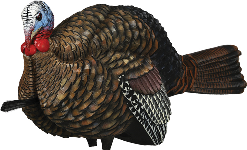 AVIAN X LCD 1/2 STRUT JAKE DECOY - for sale