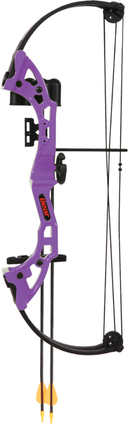 BEAR ARCHERY YOUTH COMPOUND BOW BRAVE RH PURPLE AGE 8+ - for sale