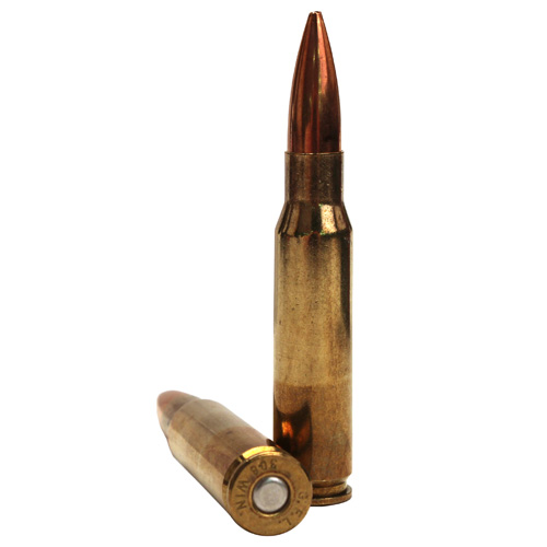 FIOCCHI 308 WIN 175GR HPBT 20RD 10BX/CS - for sale