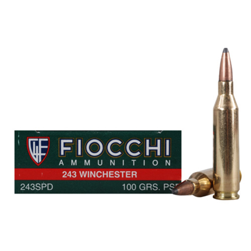 FIOCCHI 243 WIN 100GR PSP 20RD 10BX/CS - for sale