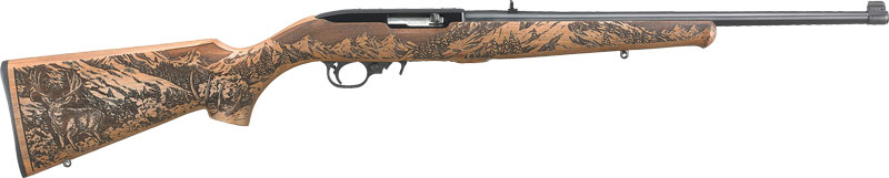 Ruger - 10/22 - .22LR for sale