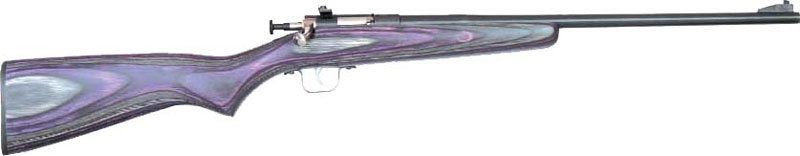 CRICKETT RIFLE G2 .22LR BLUED/PURPLE LAMINATE - for sale