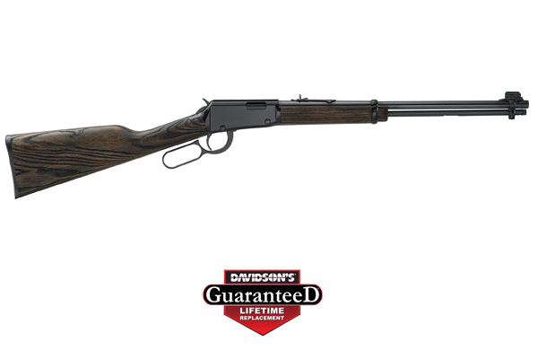 HENRY GARDEN GUN .22LR 18.5" SMOOTH BORE BLUED WOOD - for sale