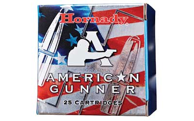 HORNADY AMERICAN GUNNER 380ACP 90GR XTP 25RD 10BX/CS - for sale