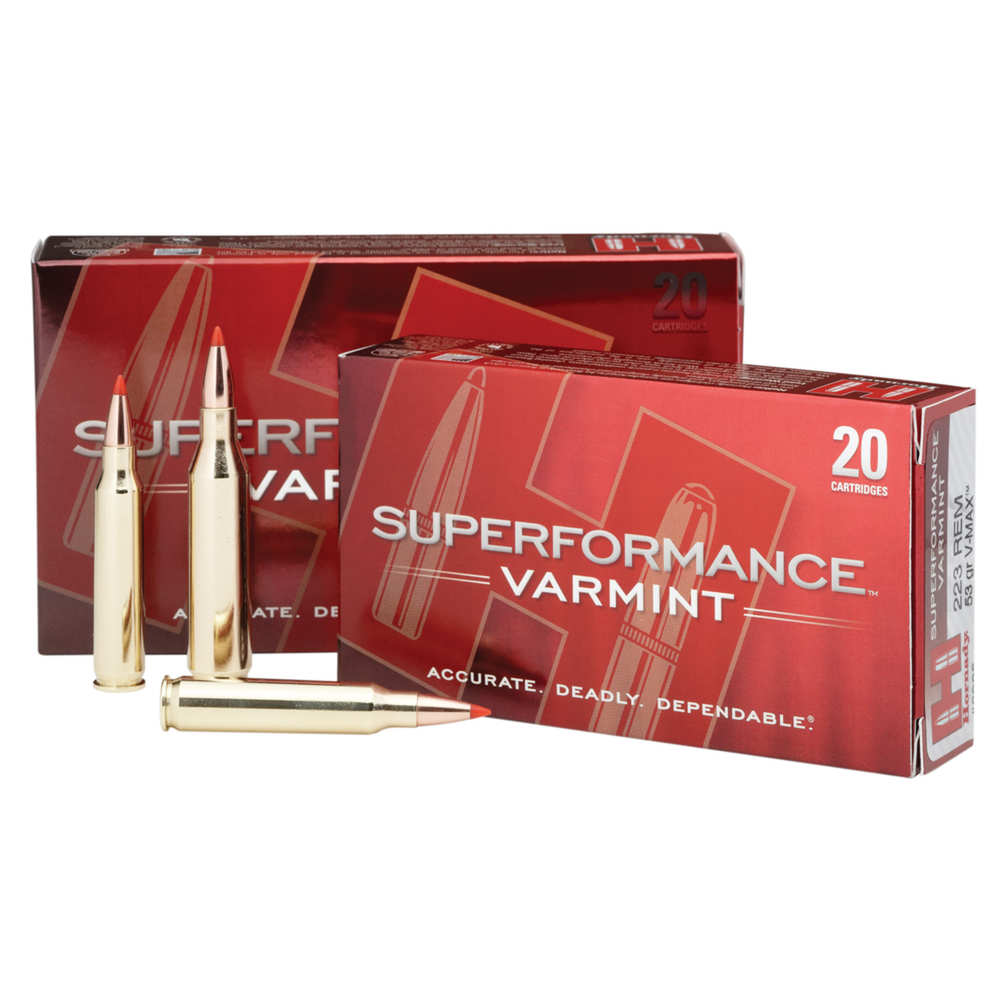 HORNADY VARMINT 204 RUGER 40GR V-MAX 20RD 10BX/CS - for sale