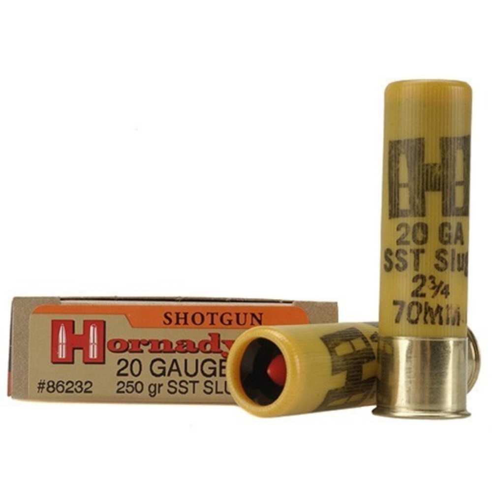 HORNADY 20GA SABOT SLUG 250GR FTX SST 5RD 20BX/CS - for sale