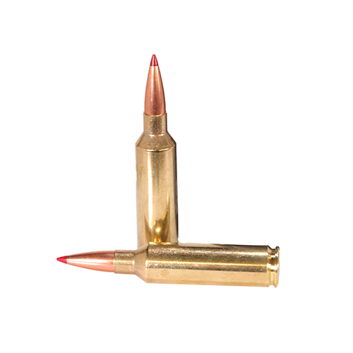 HORNADY PRECISION HUNTER  270 WSM 145GR ELD-X 20RD 10BX/CS - for sale