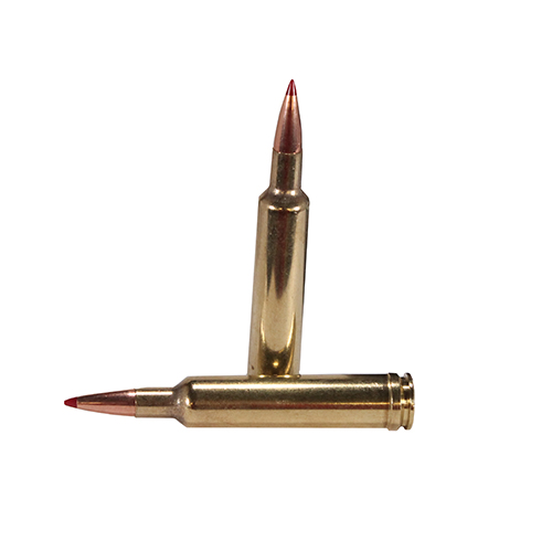 HORNADY PRECISION HUNTER 270 WBY MAG 110GR ELDX 20RD 10BX/C - for sale