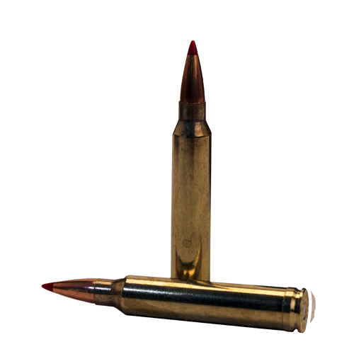 HORNADY PRECISION HUNTER 300 WIN MAG 200GR ELDX 20RD 10BX/C - for sale
