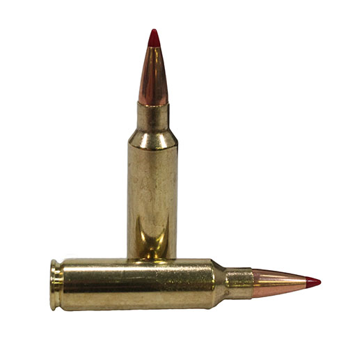 HORNADY PRECISION HUNTER 300 WSM 200GR ELDX 20RD 10BX/CS - for sale