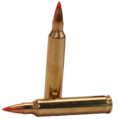 HORNADY VARMINT 204 RUGER 32GR V-MAX 20RD 10BX/CS - for sale