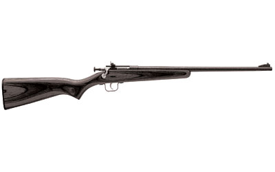 CRICKETT RIFLE G2 .22LR BLUED/BLACK LAMINATE - for sale