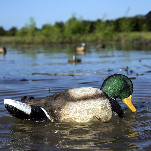 MOJO RIPPLER MALLARD DRAKE DECOY - for sale