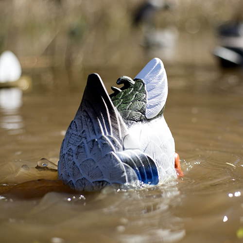 MOJO BUTT UP MALLARD RIPPLER DECOY - for sale