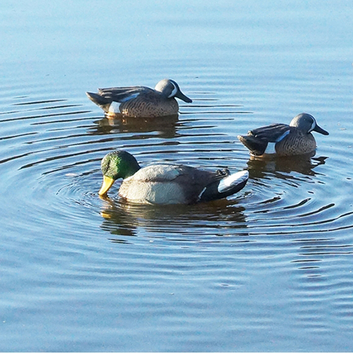 MOJO RIPPLER MALLARD DRAKE DECOY - for sale