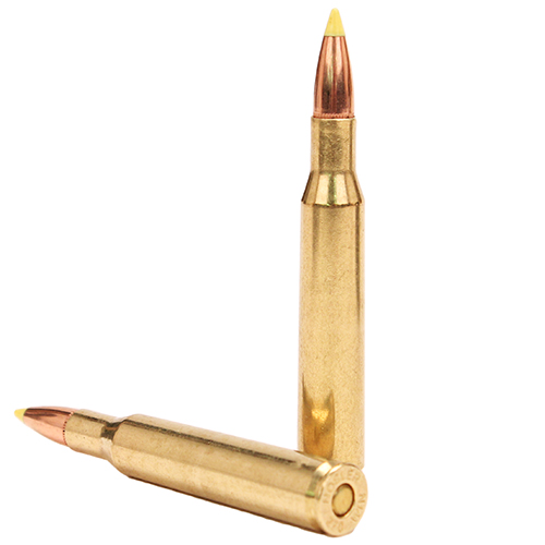 NOSLER 270 WIN 140GR BALLISTIC TIP 20RD 10BX/CS - for sale