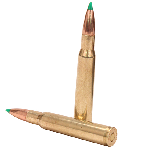 NOSLER BT 30-06 SPFLD 125GR BALLISTIC TIP 20RD 10BX/CS - for sale