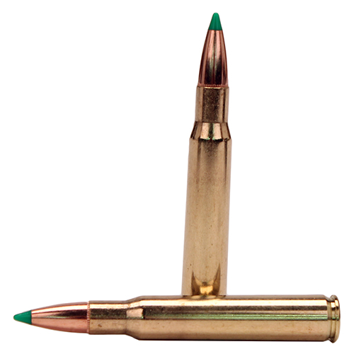 NOSLER BT 30-06 SPFLD 180GR BALLISTIC TIP 20RD 10BX/CS - for sale