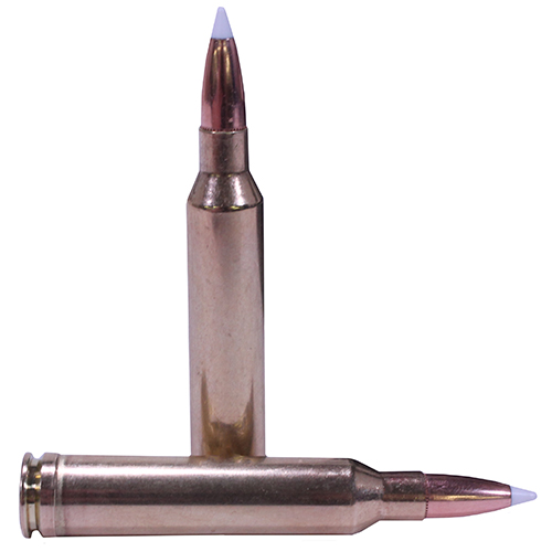 NOSLER TROPHY GRADE 7MM REM MAG 140GR ACCUBOND 20RD 10BX/C - for sale