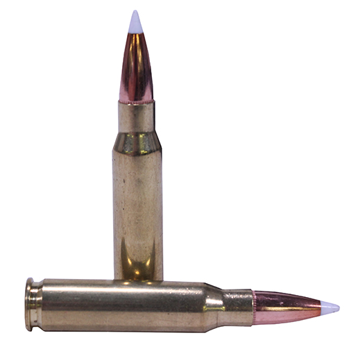 NOSLER 308WIN 165GR AB 20/200 - for sale