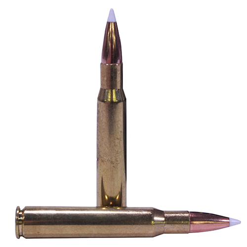 NOSLER 30-06 165GR AB 20/200 - for sale