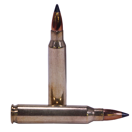NOSLER VARMAGEDDON 223 REM 55GR FBT 20RD 20BX/CS - for sale