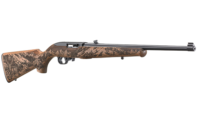 Ruger - 10/22 - .22LR for sale