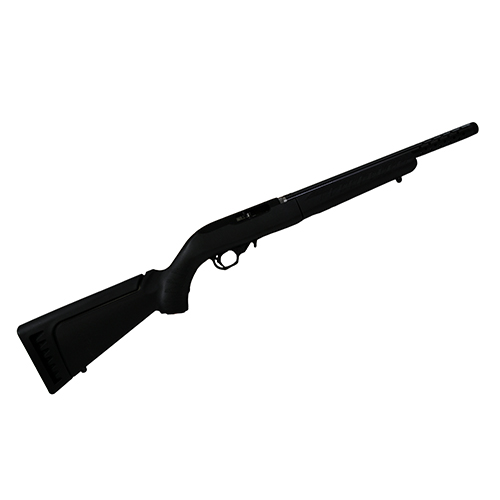 Ruger - 10/22 - .22LR for sale