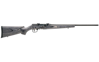 SAV A17 TARGET 17HMR 22" 10RD BL/LAM - for sale